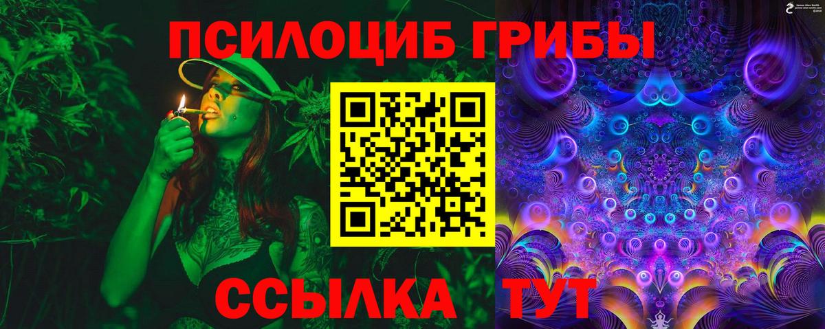 Псилоцибиновые грибы Psilocybine cubensis  Вход с VPN  Калуга 