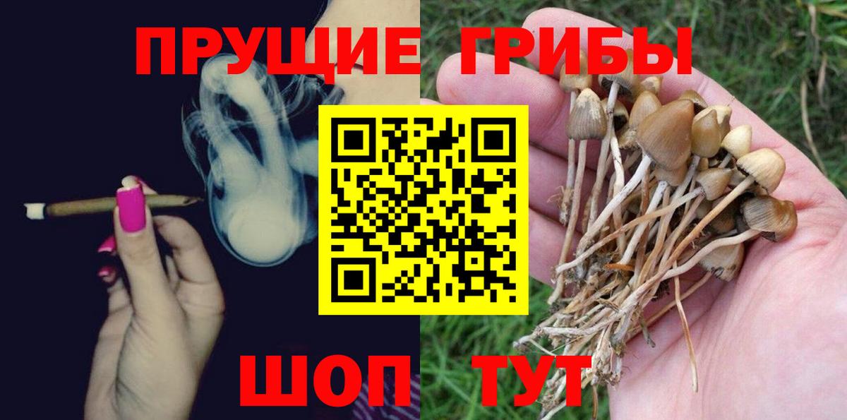 Псилоцибиновые грибы Cubensis Калуга